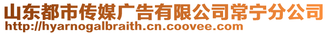 山東都市傳媒廣告有限公司常寧分公司