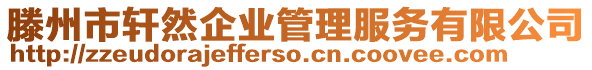 滕州市軒然企業(yè)管理服務(wù)有限公司