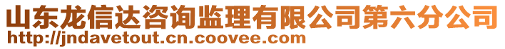 山東龍信達(dá)咨詢監(jiān)理有限公司第六分公司