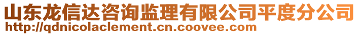 山東龍信達(dá)咨詢監(jiān)理有限公司平度分公司