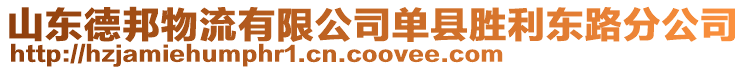 山東德邦物流有限公司單縣勝利東路分公司