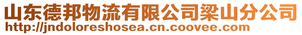 山東德邦物流有限公司梁山分公司