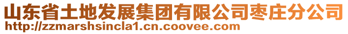 山東省土地發展集團有限公司棗莊分公司
