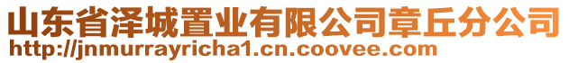 山東省澤城置業(yè)有限公司章丘分公司