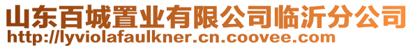 山東百城置業(yè)有限公司臨沂分公司