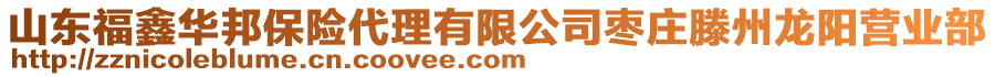 山東福鑫華邦保險代理有限公司棗莊滕州龍陽營業(yè)部