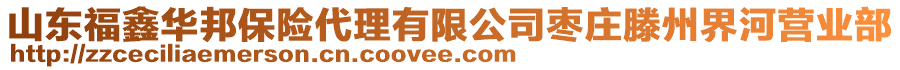 山東福鑫華邦保險代理有限公司棗莊滕州界河營業(yè)部