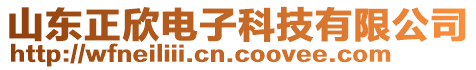 山東正欣電子科技有限公司