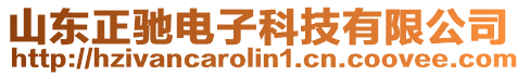 山東正馳電子科技有限公司