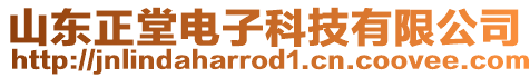 山東正堂電子科技有限公司