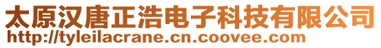 太原漢唐正浩電子科技有限公司