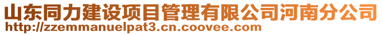 山東同力建設項目管理有限公司河南分公司