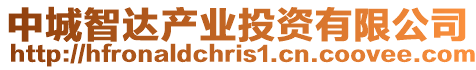 中城智達(dá)產(chǎn)業(yè)投資有限公司