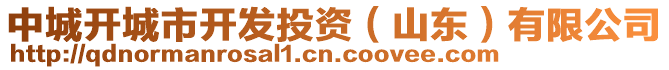 中城開城市開發投資(山東)有限公司