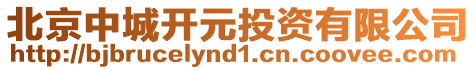 北京中城開元投資有限公司