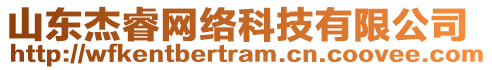 山東杰睿網(wǎng)絡(luò)科技有限公司