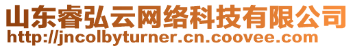 山東睿弘云網(wǎng)絡(luò)科技有限公司