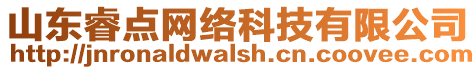 山東睿點(diǎn)網(wǎng)絡(luò)科技有限公司