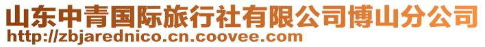 山東中青國際旅行社有限公司博山分公司