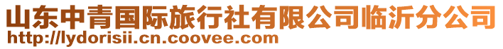 山東中青國際旅行社有限公司臨沂分公司