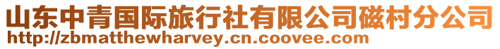 山東中青國際旅行社有限公司磁村分公司