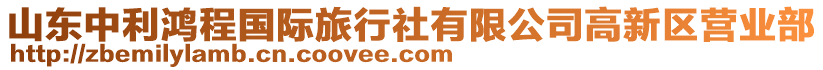 山東中利鴻程國際旅行社有限公司高新區營業部