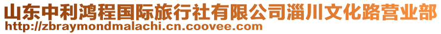 山東中利鴻程國際旅行社有限公司淄川文化路營業部