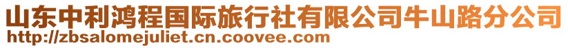山東中利鴻程國際旅行社有限公司牛山路分公司