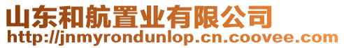 山東和航置業有限公司