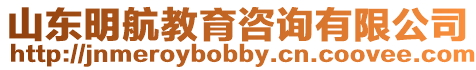 山東明航教育咨詢有限公司