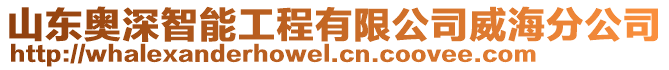 山東奧深智能工程有限公司威海分公司