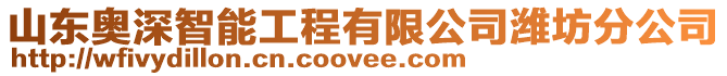 山東奧深智能工程有限公司濰坊分公司