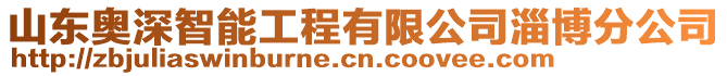 山東奧深智能工程有限公司淄博分公司