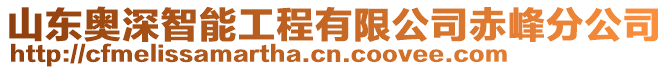 山東奧深智能工程有限公司赤峰分公司