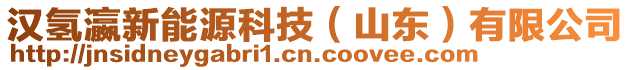 漢氫瀛新能源科技（山東）有限公司