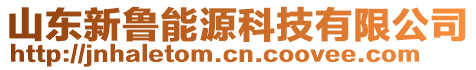 山東新魯能源科技有限公司