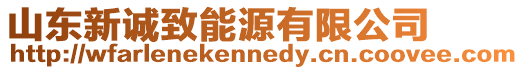 山東新誠致能源有限公司
