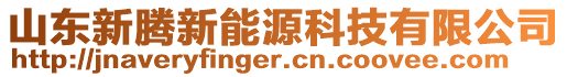 山東新騰新能源科技有限公司