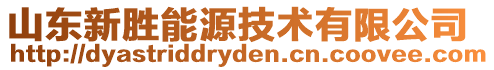 山東新勝能源技術(shù)有限公司