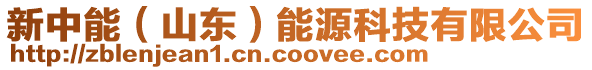 新中能(山東)能源科技有限公司