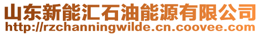 山東新能匯石油能源有限公司