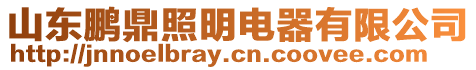 山東鵬鼎照明電器有限公司