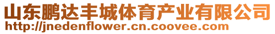 山東鵬達豐城體育產業有限公司