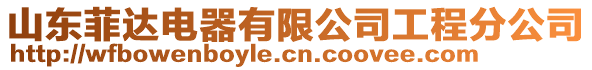 山東菲達電器有限公司工程分公司