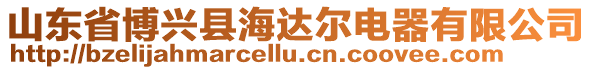 山東省博興縣海達爾電器有限公司