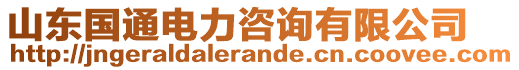 山東國通電力咨詢有限公司