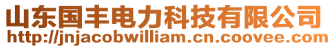 山東國豐電力科技有限公司