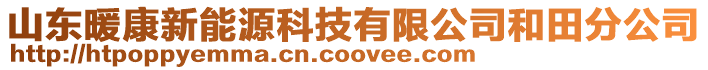 山東暖康新能源科技有限公司和田分公司