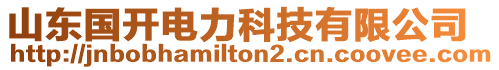 山東國(guó)開電力科技有限公司