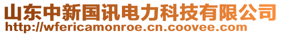 山東中新國(guó)訊電力科技有限公司